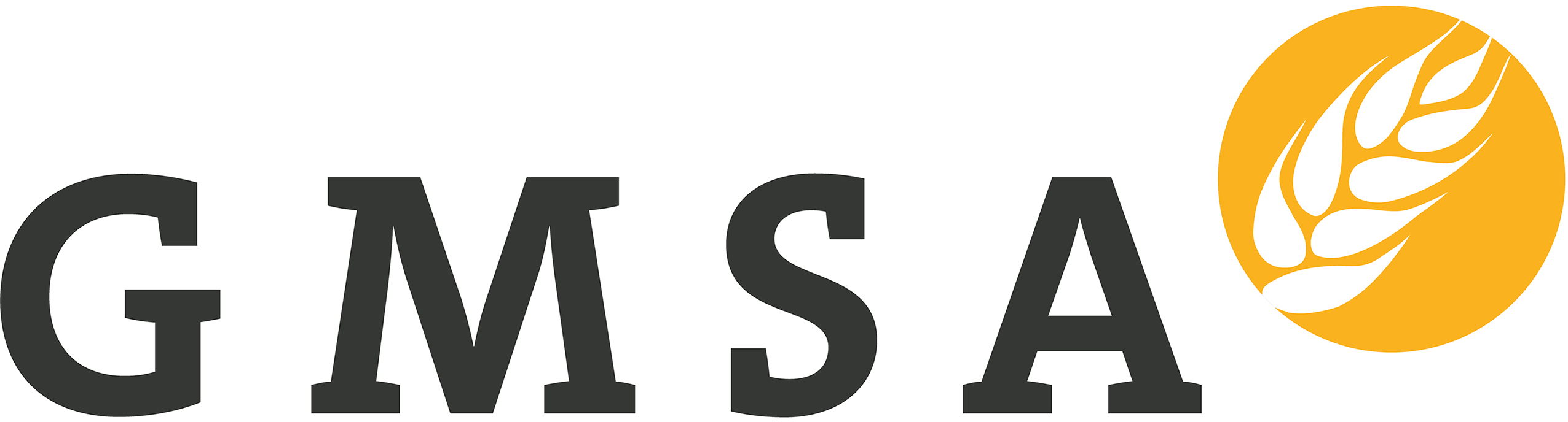 GMSA